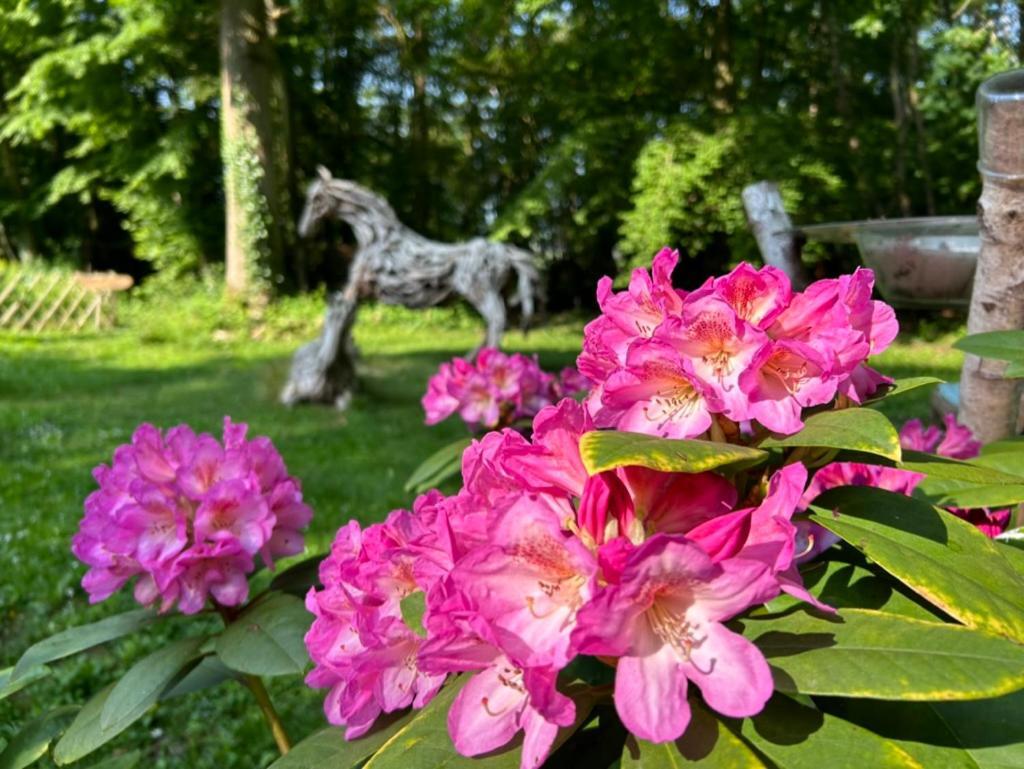 Gites Du Bois Des Perruches Saint-Vincent-des-Bois Zewnętrze zdjęcie