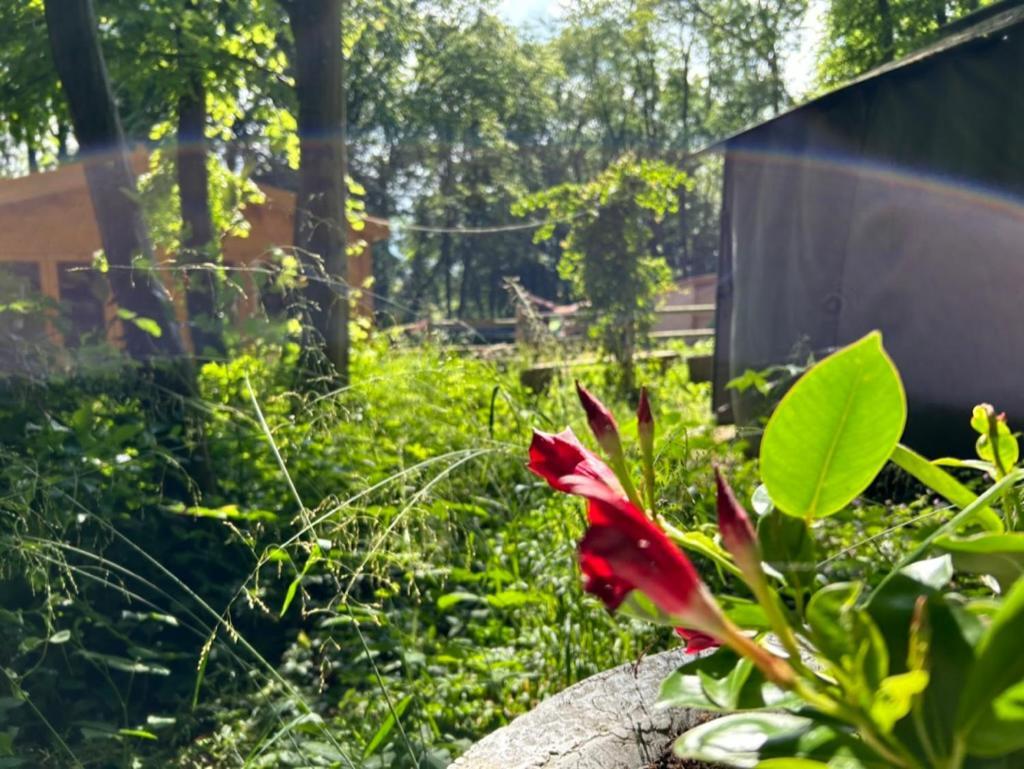 Gites Du Bois Des Perruches Saint-Vincent-des-Bois Zewnętrze zdjęcie