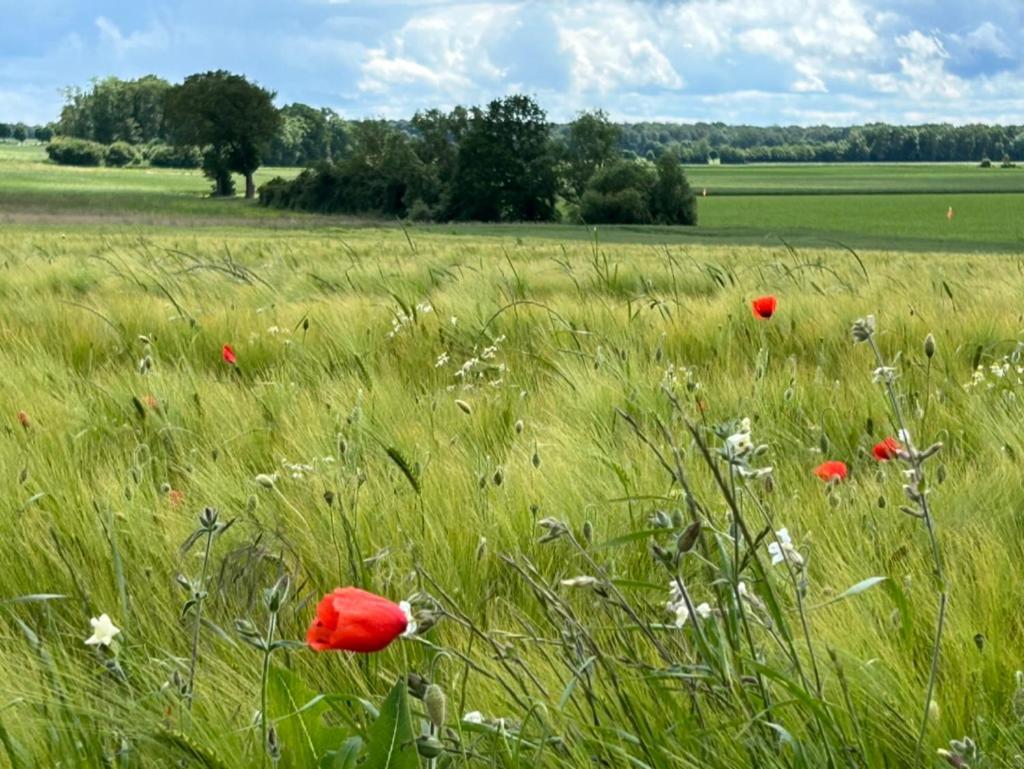 Gites Du Bois Des Perruches Saint-Vincent-des-Bois Zewnętrze zdjęcie
