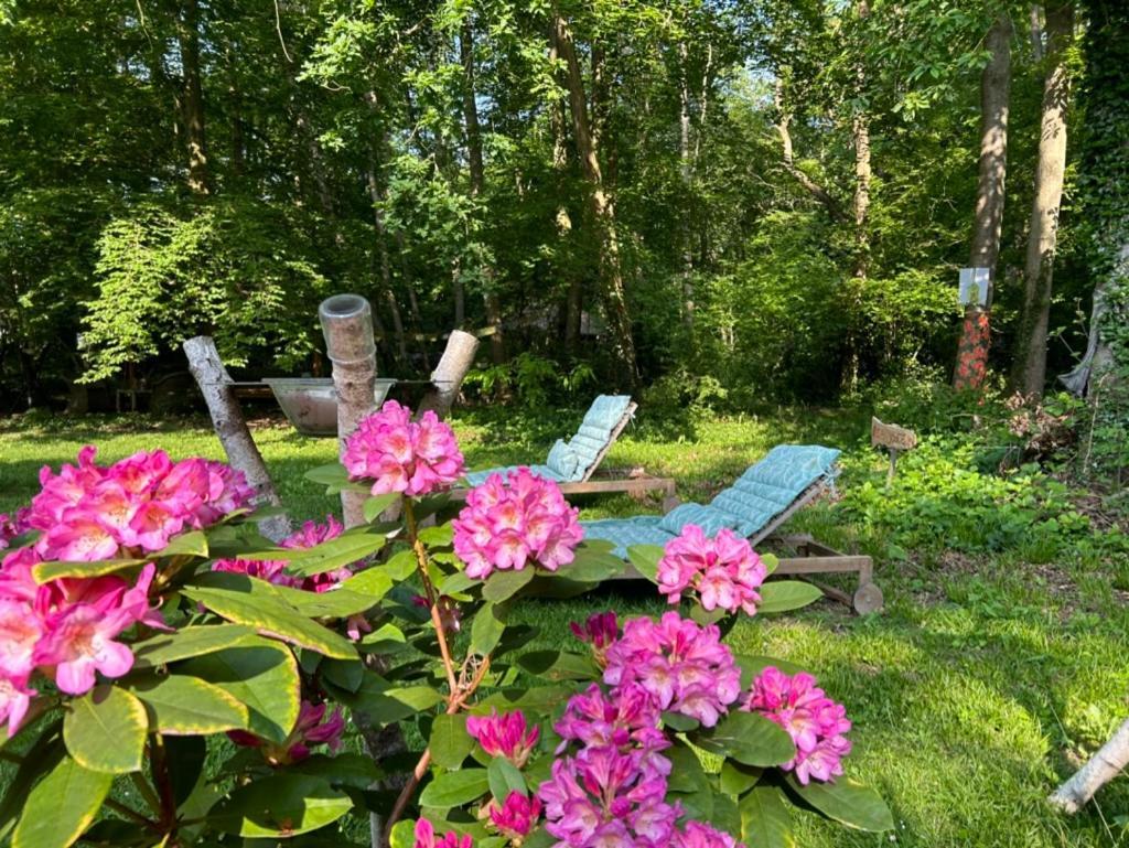 Gites Du Bois Des Perruches Saint-Vincent-des-Bois Zewnętrze zdjęcie